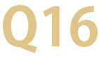 Q16画像